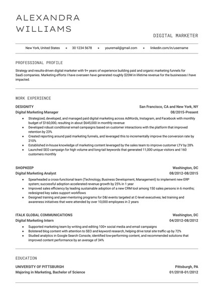 Minimalist Digital Marketer Resume Google Docs Template - page 1