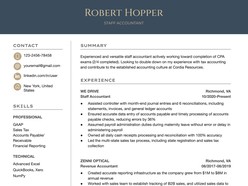 Premium Accountant Resume Template - Thumbnail