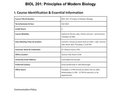 Professional College Syllabus Template - Thumbnail