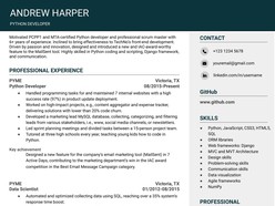 Attractive Software Developer Resume Template - Thumbnail